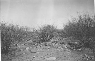Archaeology - Southwest: Site on West Edge of Cline Ranch Ruin