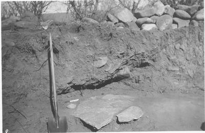 Archaeology - Southwest: Clam Shell