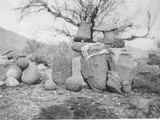 Archaeology - Southwest: Shrine Stones