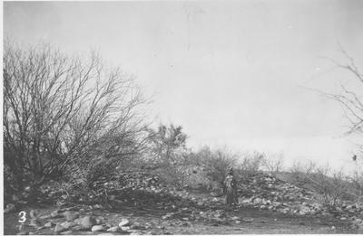 Archaeology - Southwest: Ruins Site Near Carlan Ranch