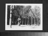 Man Dances Near a Striped Pole During a Ceremony While Others Watch From the Tree Line