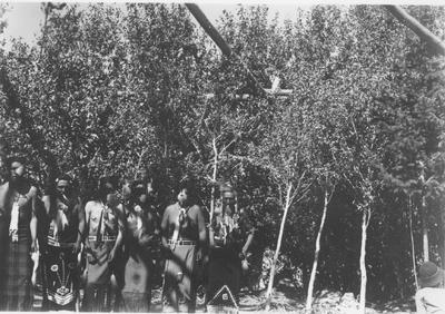 Photo of a group of men standing on the edge of a clearing in the woods.