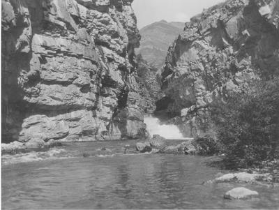 Waterton Lakes National Park: Cameron Creek Flowing through a Gorge with High Rock Walls