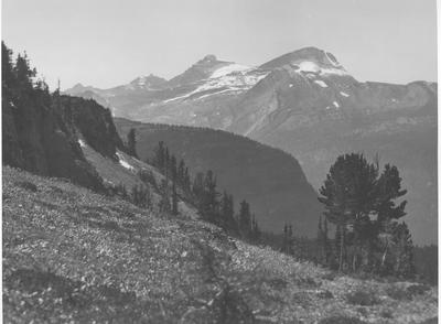 Waterton Lakes National Park: Mt. Kootenai from Kootenai Pass