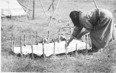 Crow Indians: Fleshing a Buffalo Hide