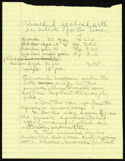 <i>Soft Hackled Fly Imitations</i> - Handwritten Notes