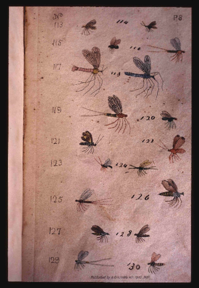 Two Centuries, 1998-2000