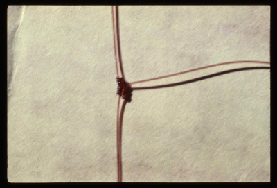[Various], 1984-1995