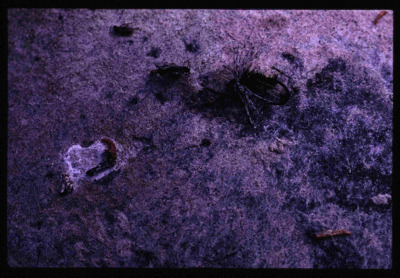 Mixed, 1987-2000