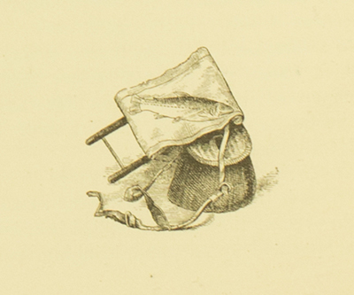 Bodines; or, Camping on the Lycoming, Thaddeus S Up De Graff, 1879, 144, trout