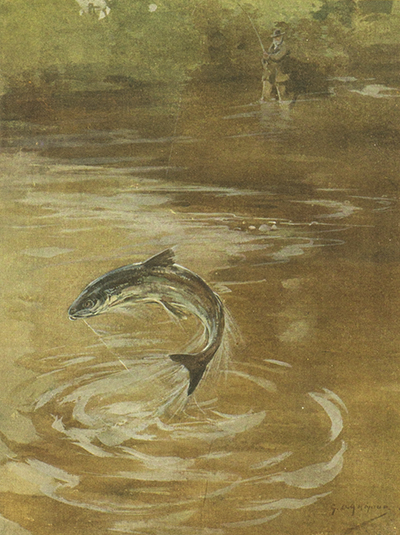 British Sport Past and Present, E. D Cuming, 1909, facing 76, salmon