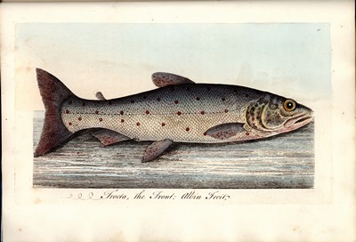 Fish and Fish Ponds, Albin, 1835, Page 91
