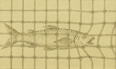 Fishing Across the Continent; Short True Stories for Boys, William Newell Hull, c1905, 224, Salmon