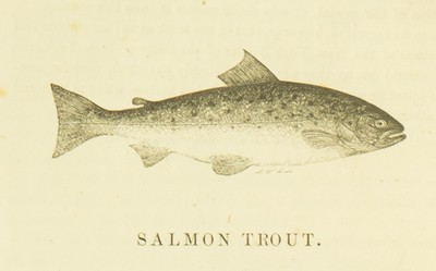 Frank Forester's Fish and Fishing, Henry William Herbert, 1850, 120, Salmon Trout