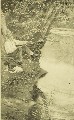 Guns, Ammunition, and Tackle, W. E Carlin and A. L. A Himmelwright, 1904, facing 424, Undetermined Species