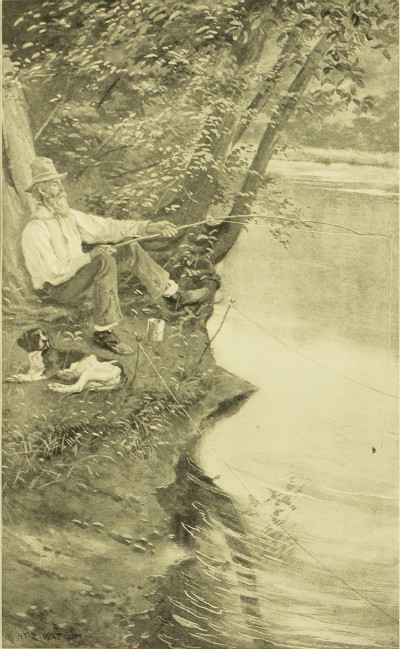 Guns, Ammunition, and Tackle, W. E Carlin and A. L. A Himmelwright, 1904, facing 424, Undetermined Species